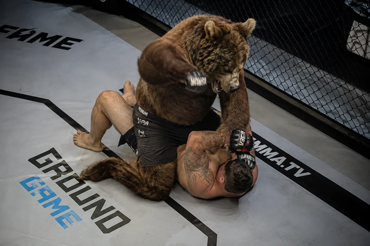 Entraînement de MMA à Marines
